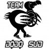 Organisateur : Team Dodo Sud